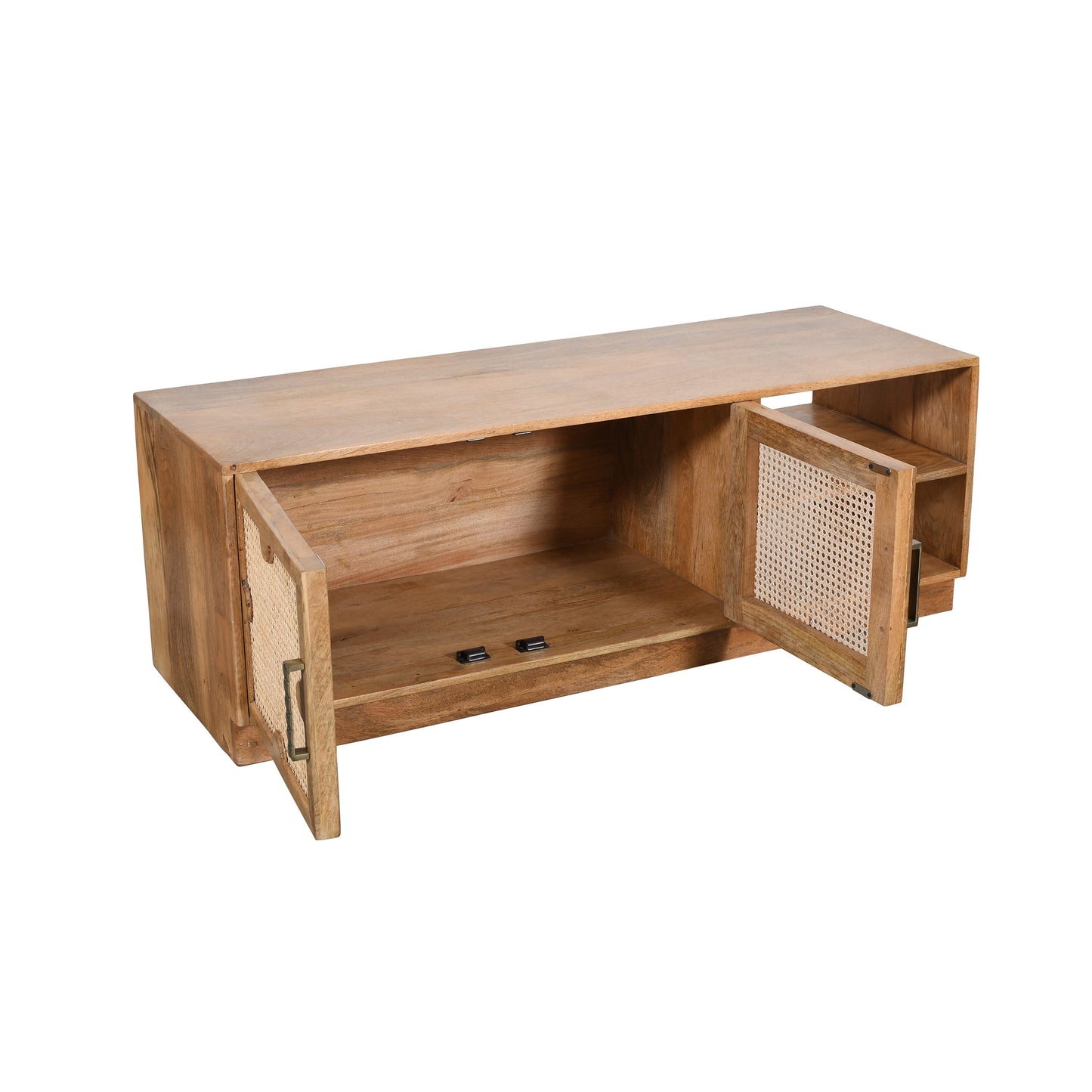 Carter 2 Door TV Cabinet