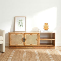 Carter 2 Door TV Cabinet