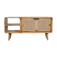Carter 1 Door TV Cabinet