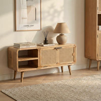 Carter 1 Door TV Cabinet