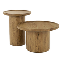 Burton Coffee Table (set of 2)